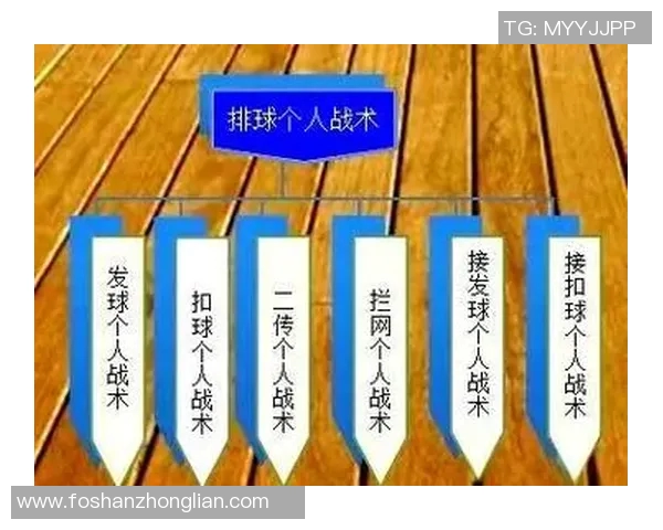 南京排球队的战术控制与发展趋势深度解析 南京排球队的战术控制与发展趋势深度解析