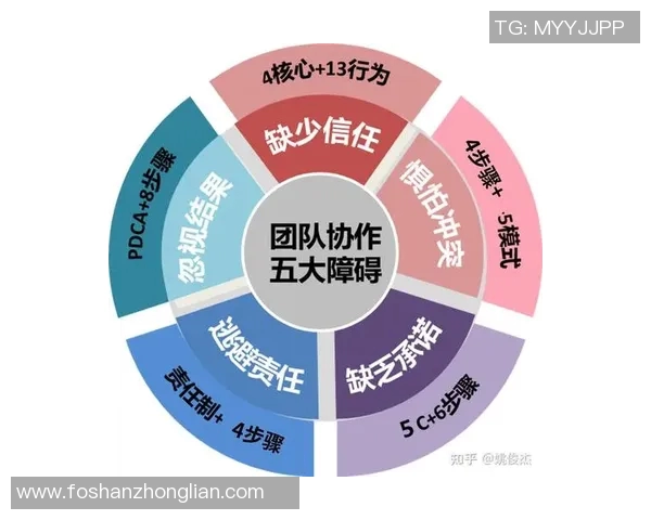 成都足球队团队协作的力量与魅力解析助力球队崛起之路