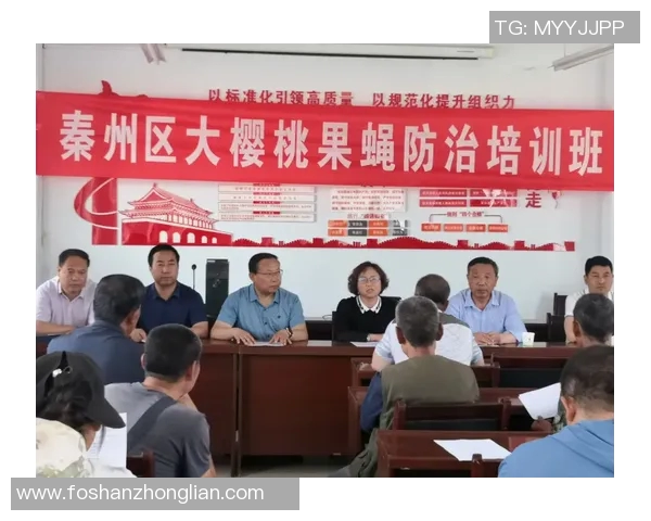 科学DOTA2战术训练方法探究提升团队协作与个人技能的有效策略