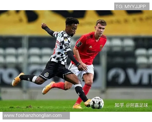 2019年瑞典与丹麦足球比赛比分预测及分析展望 2019年瑞典与丹麦足球比赛比分预测及分析展望