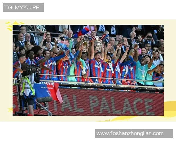 加的夫城与水晶宫激战成平局双方各取一分的精彩对决回顾